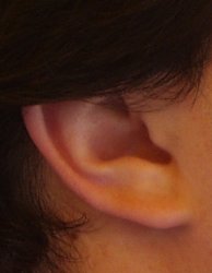 The Ear Gate, and ear